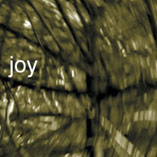 Joy